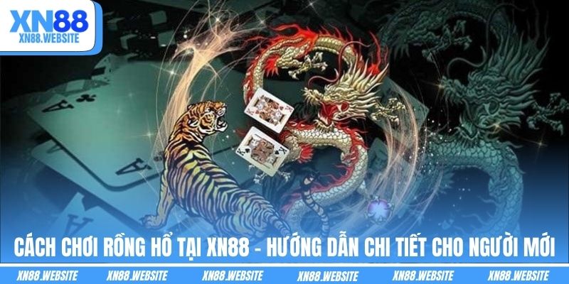 Cách Chơi Rồng Hổ Tại XN88 - Hướng Dẫn Chi Tiết Cho Người Mới