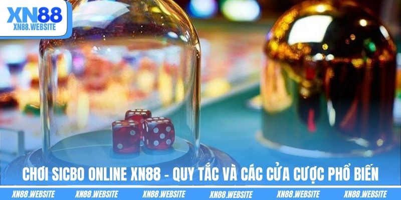 Chơi Sicbo Online XN88 - Quy Tắc Và Các Cửa Cược Phổ Biến