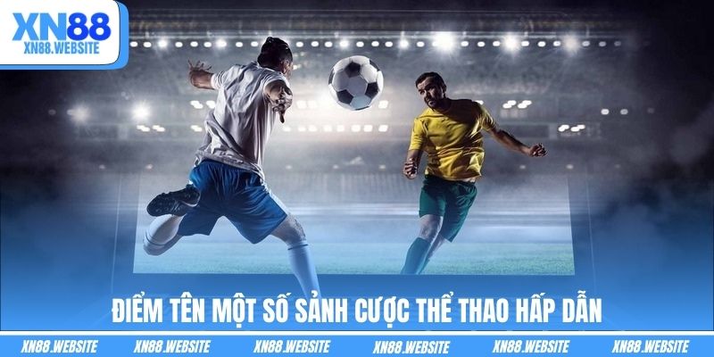 Điểm tên một số sảnh cược thể thao hấp dẫn