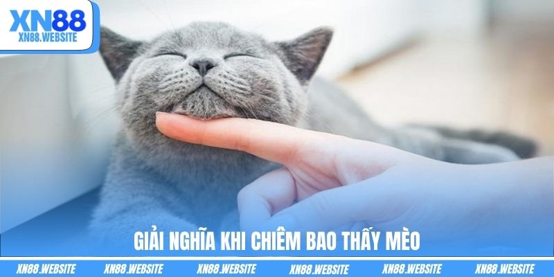 Giải nghĩa khi chiêm bao thấy mèo