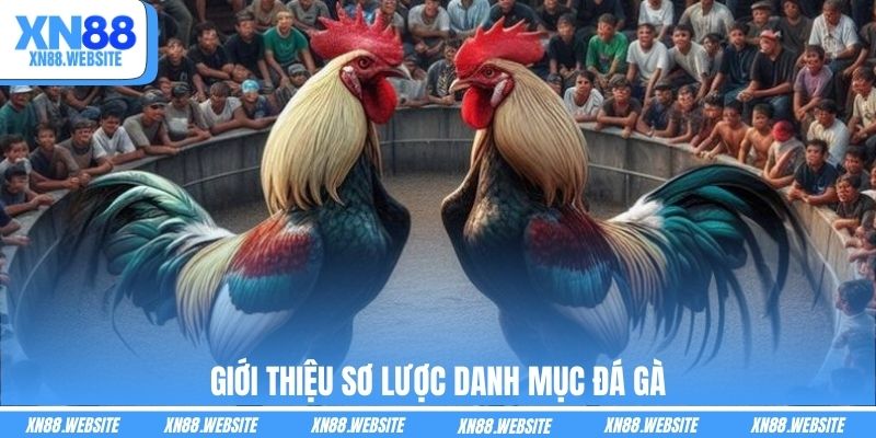 Giới thiệu sơ lược danh mục đá gà