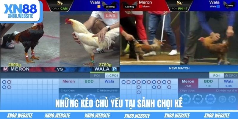 Những kèo chủ yếu tại sảnh chọi kê