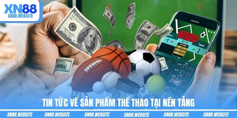 Tin tức về sản phẩm thể thao tại nền tảng